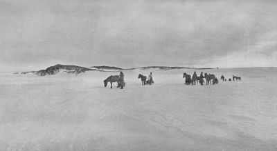 A photograph of a train of mules and their handlers standing in snow.
