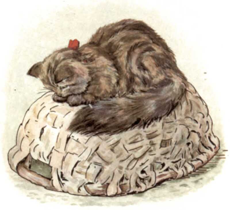 The cat sits on top of the upturned basket, looking down at the small gap between the handle and the rest of the basket.