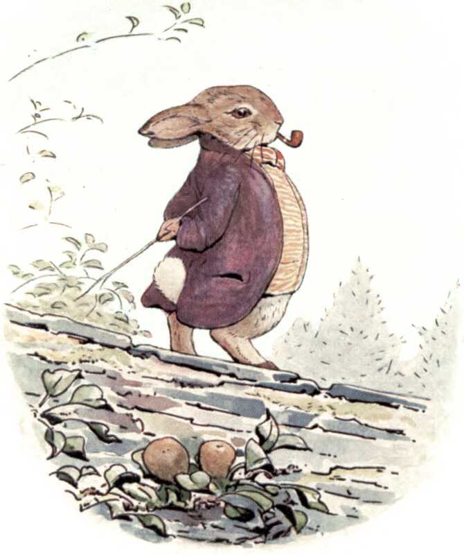 Old Mr. Bunny walks along the top of the garden wall. He’s wearing a purple jacket with a red and white striped waistcoat, holding a switch, and smoking a pipe.
