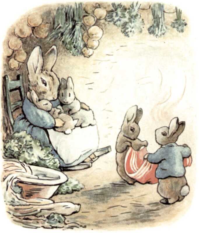 In their burrow, Peter and Cottontail fold up the red cloth, while Mrs. Rabbit holds Flopsy and Mopsy. There are bunches of herbs and vegetables on the wall behind them.