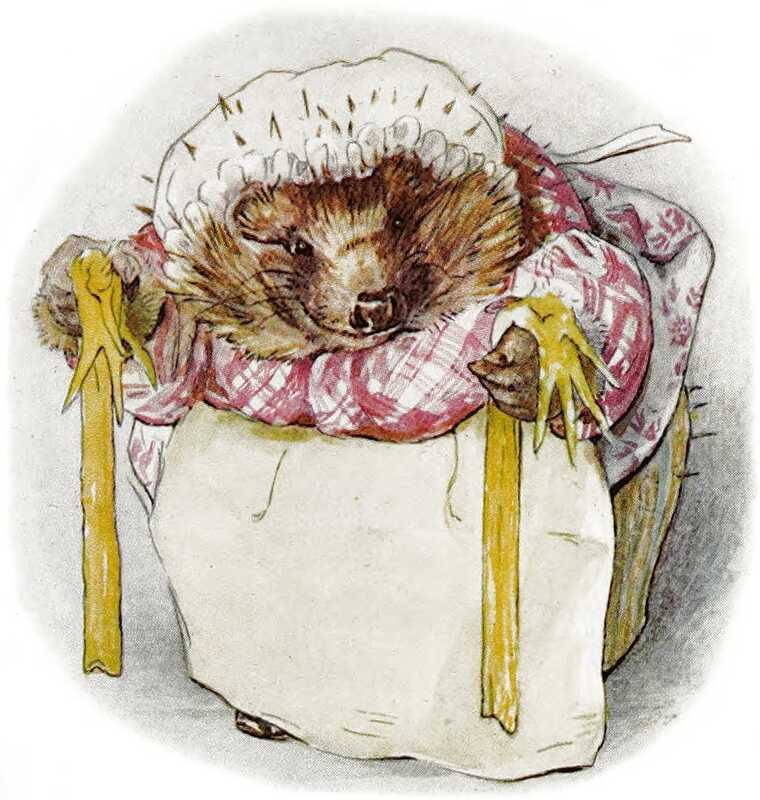 Mrs. Tiggy-winkle inspects a pair of long yellow stockings that she’s holding up. They’re obviously made for chicken’s feet.