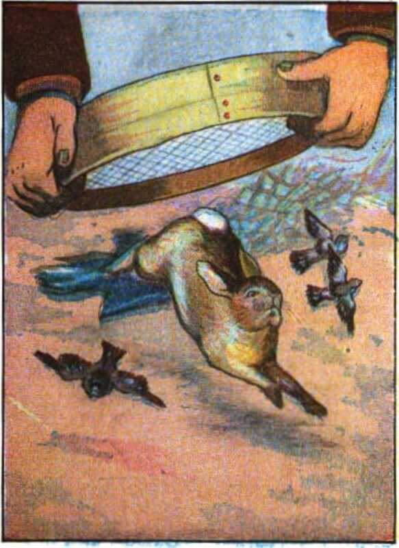 Peter and the three sparrows flee from underneath the sieve, leaving his blue jacket on the ground.