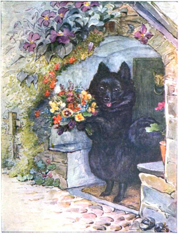 Duchess stands in the porch of Ribby’s farmhouse, clutching a bunch of pansies, stocks, and other flowers. The porch is set in from a cobbled yard, and has slate benches on either side, on which geraniums sit. Her front door is green, with a brass knocker in the shape of a cat’s head.