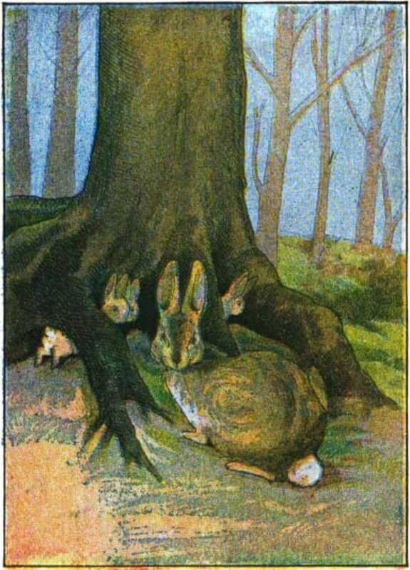 Rabbits peek out from underneath and around the roots of a tree.
