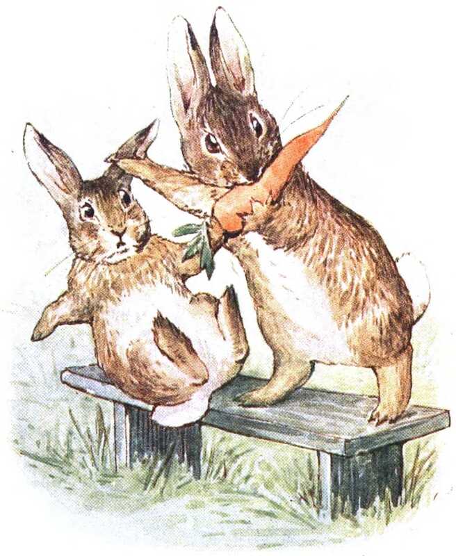 The bad rabbit pushes over the good rabbit, grabs the carrot, and quickly puts it in its mouth.