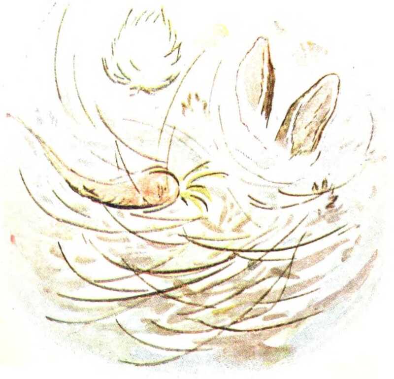 A cloud of whirling lines, through which can be seen a carrot, a pair of rabbit ears, and a fluffy white tail.