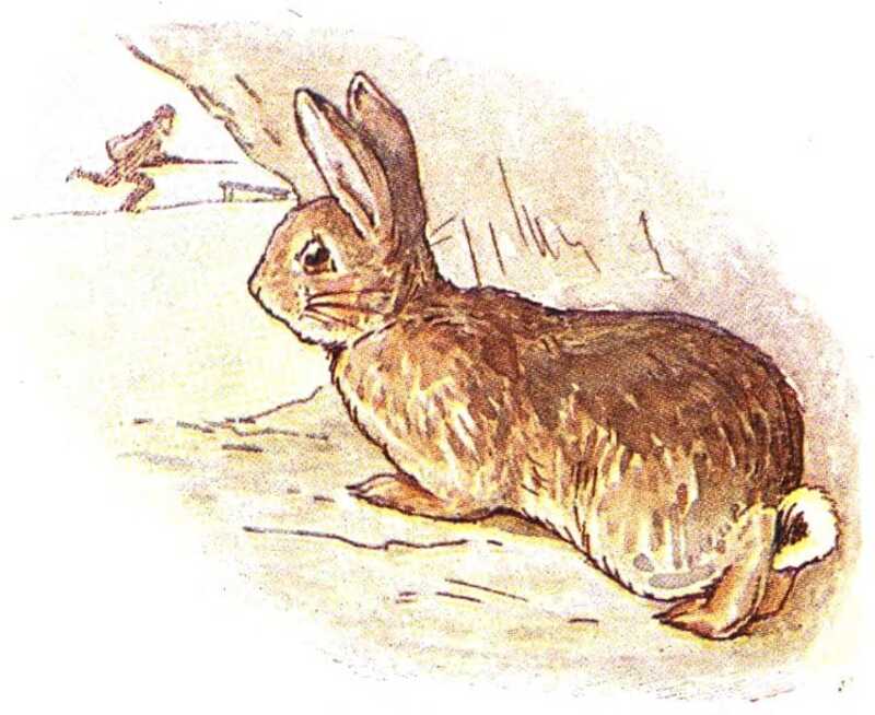 The good rabbit looks worriedly at the man with the gun running up to the bench.