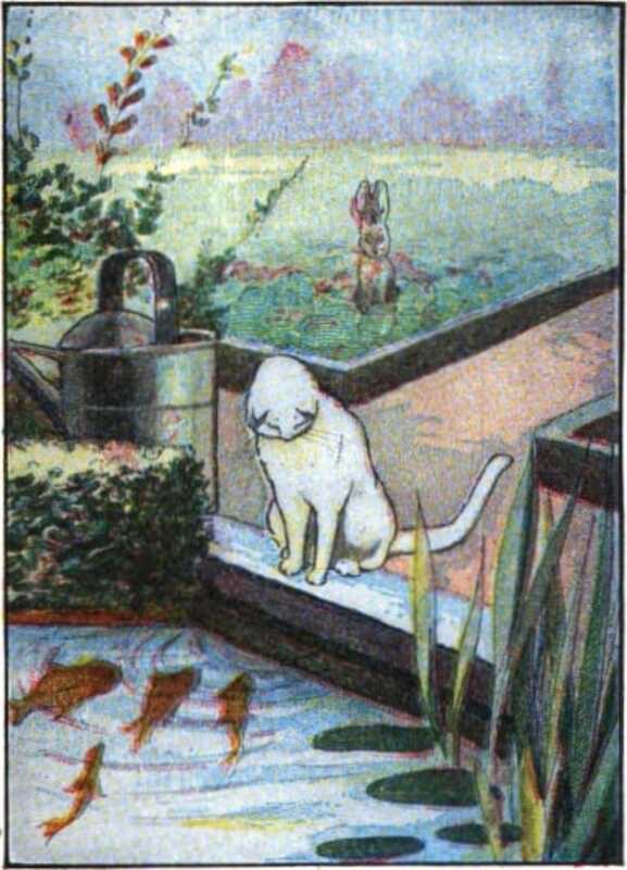 A white cat looks into a pond filled with goldfish, who look back. Peter is in the distance on the other side of a lawn.