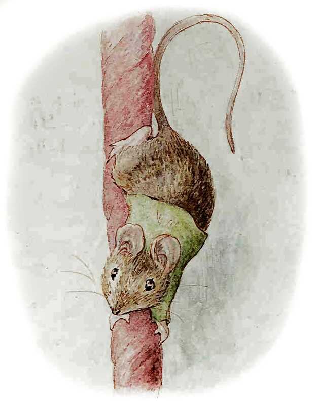 The Mouse climbs head first down a thick red rope.