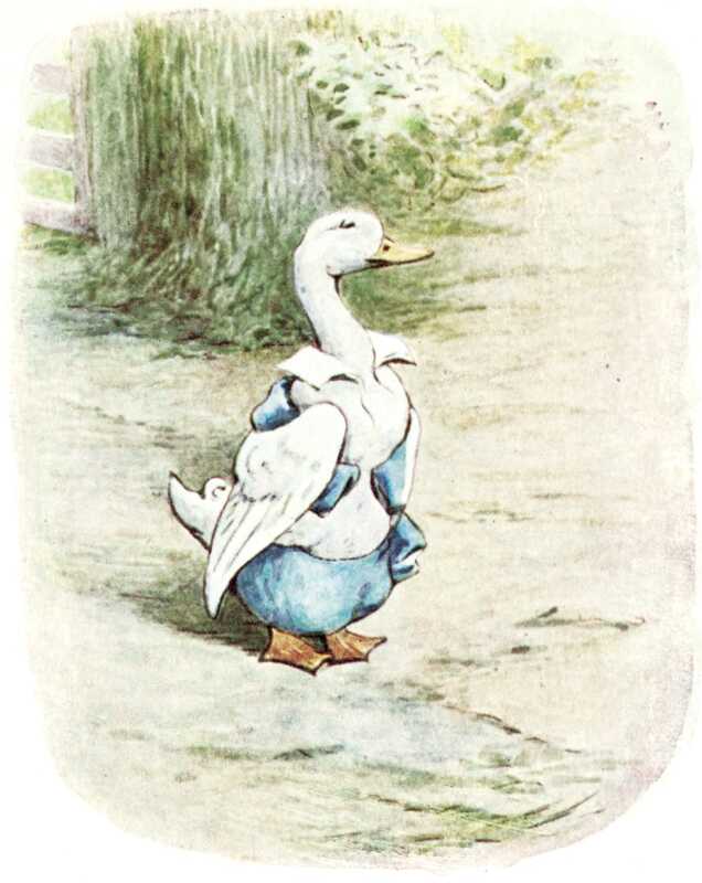 Mr. Drake Puddle-duck stands up to his full height. He is wearing Tom’s blue trousers, white collar, and has his blue jacket wrapped around him and pinned in place with his wings.