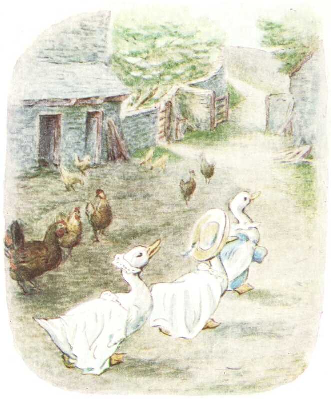 The three ducks waddle off down the lane, wearing the kittens’ clothes and looking happy with their finds. The lane runs between some stone farm buildings, through a wooden gate, and off up the hill. In the farmyard there is a group of chickens, who watch the ducks leaving.