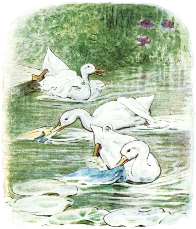 The three ducks slide into a cool pond covered with floating lily leaves and with irises around the edge. The hat and blue jacket have slid off the ducks, and are being held in their bills.
