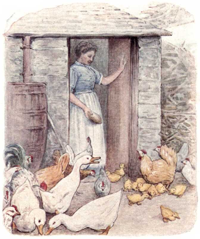 A lady in a blue dress and white pinafore stands in a farmhouse doorway with one hand on the door, and shakes a plate towards the ground. At her feet are three white ducks and a flock of chickens, chicks, and ducklings.