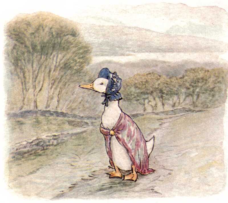 Jemima Puddle-duck stands at the top of the hill looking around her.