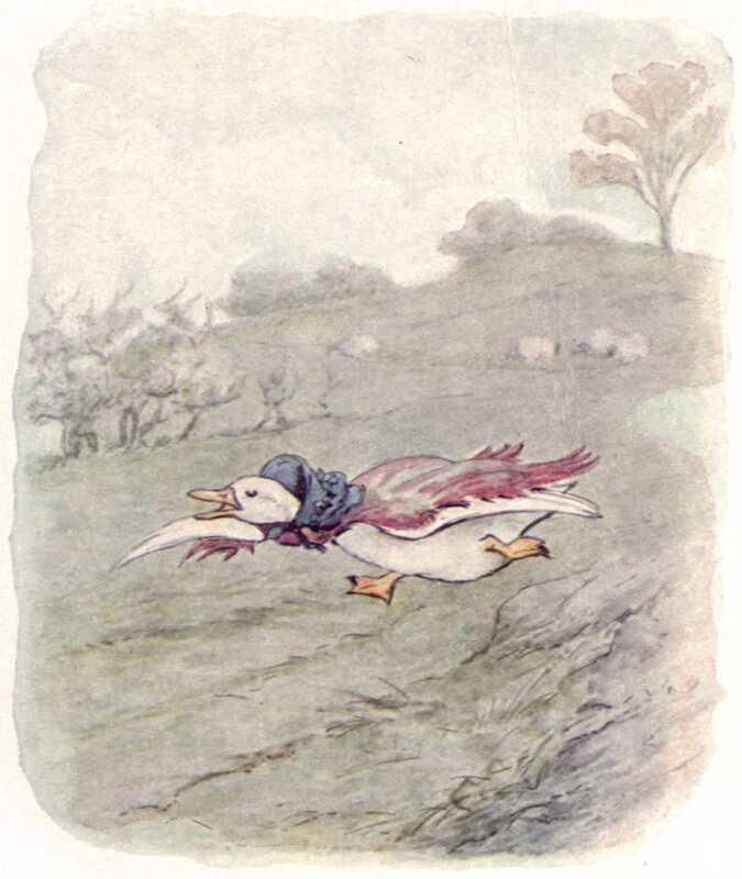 Jemima Puddle-duck sprints down the hill with her bonnet pushed back off her head, her bill wide open and her wings spread wide wide.