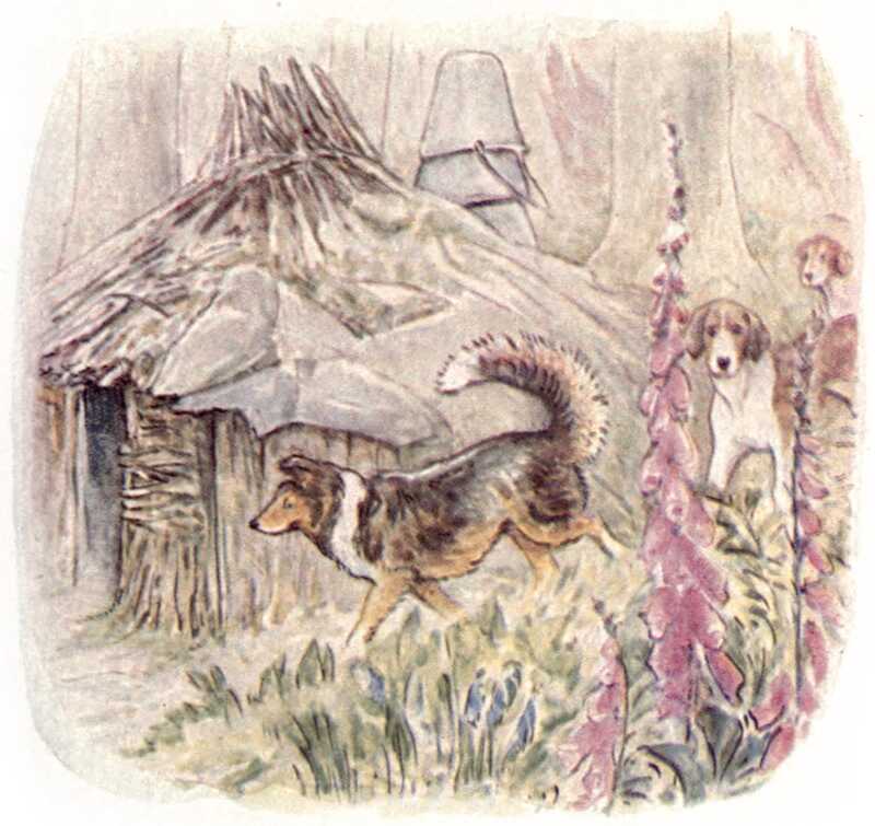 Kep and the two foxhounds pad around the corner of the woodshed, behind the pink foxgloves.