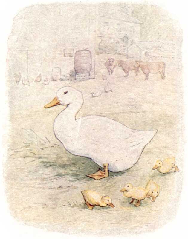 Jemima Puddle-duck stands in the farmyard with the farmhouse, three cows and a water butt in the distance behind her. At her feet at four little yellow ducklings.