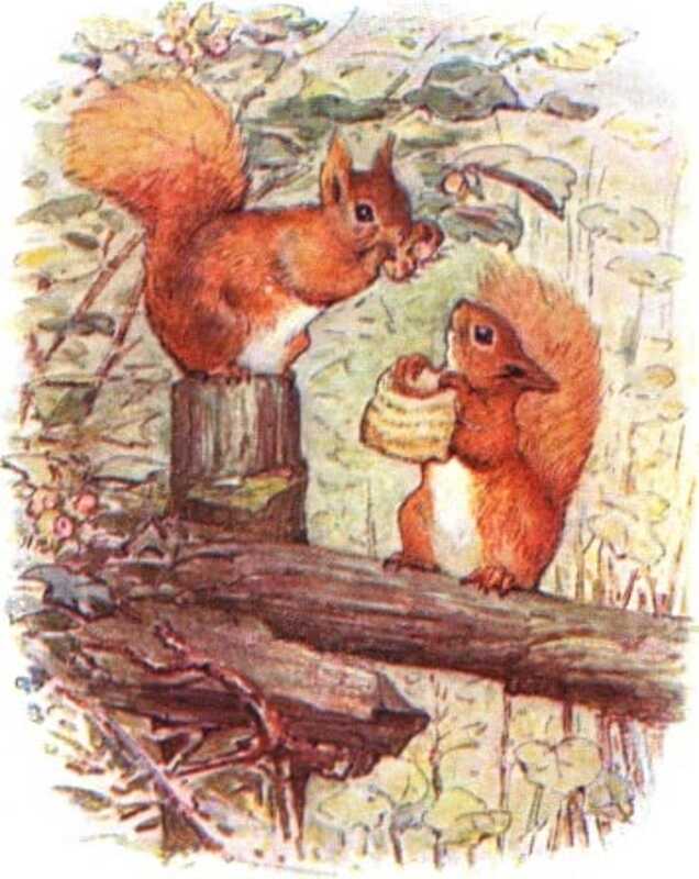 Two red squirrels, Nutkin and Twinkleberry, harvest hazelnuts from a tree into a small bag.