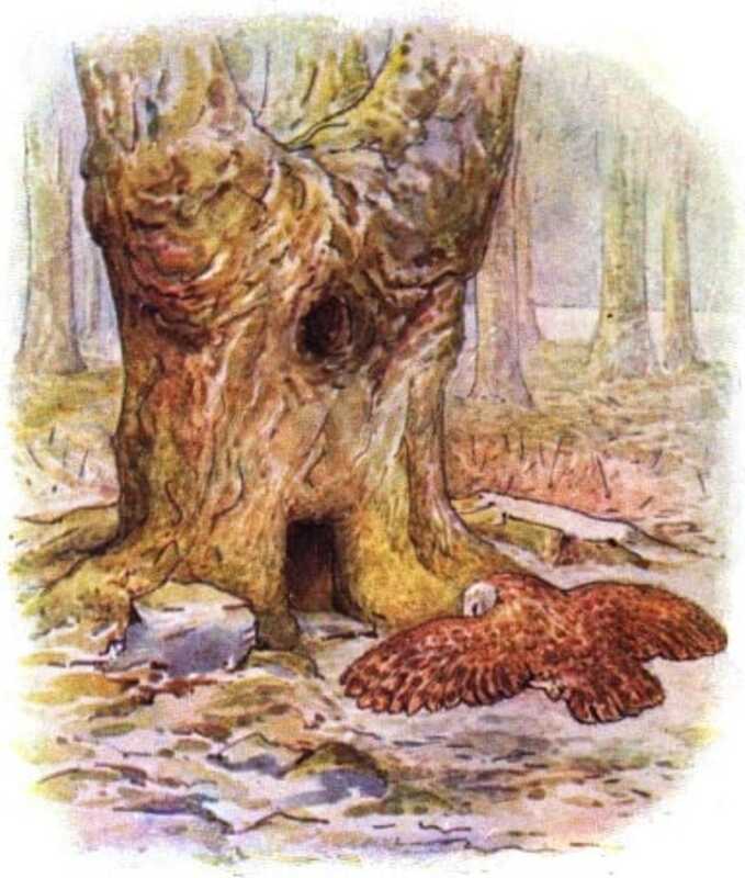 Old Brown flies towards his oak-tree.