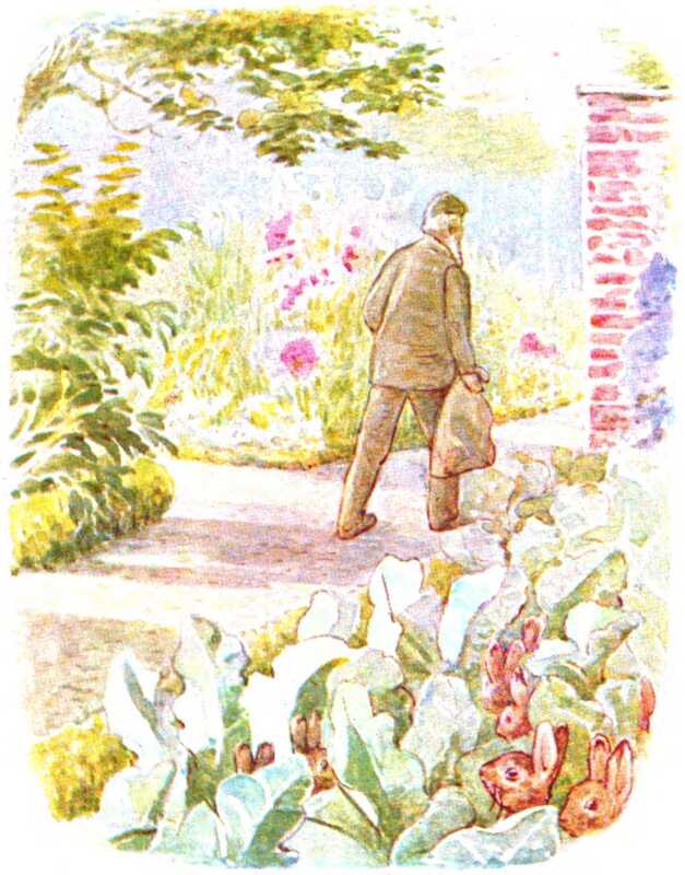 A man with a long white beard, wearing a brown suit with a brown flat cap and carrying a brown sack, walks down a garden path towards a red brick wall. Next to the path are flowerbeds and trees. Lettuces have been planted in the nearest bed, and from among them peek out a host of rabbits.