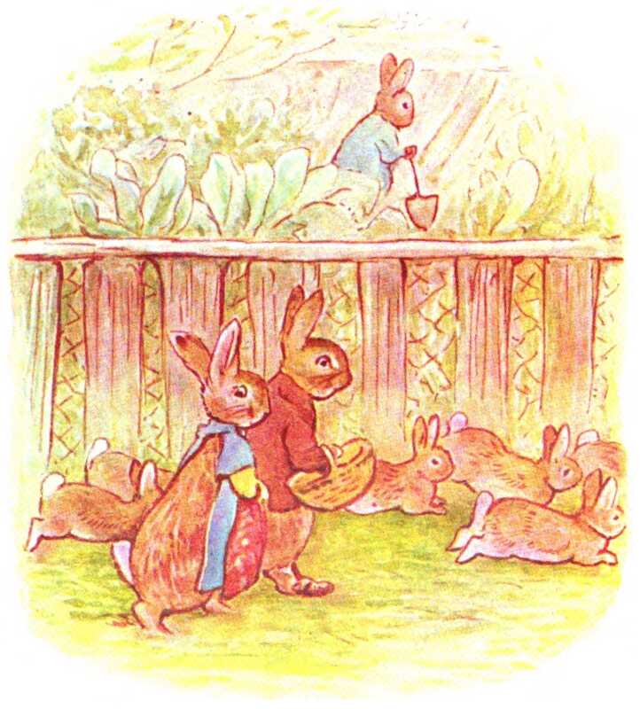 Benjamin with a basket and Flopsy with a string bag walk along a grassy path next to a fence. The Flopsy Bunnies run at their feet. On the other side of the fence, Peter Rabbit is digging in his vegetable garden.