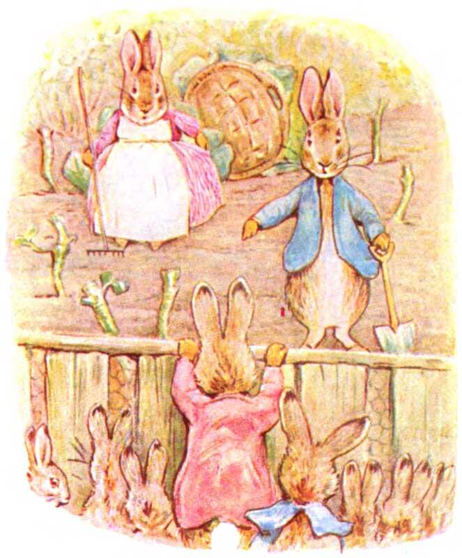 Benjamin pulls himself up on the fence to talk to Peter Rabbit, who gestures at his cabbage stalks that are missing their leaves. Behind him, his mother spreads her dress wide to conceal the cabbage leaves behind her, and a basket next to her is covering more cabbages.