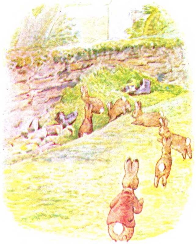 The Flopsy Bunnies run across a field towards a stone wall, followed by Benjamin Bunny.