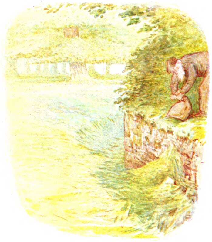 Mr. McGregor stands on a stone wall overlooking a grass meadow and ties up the sack.