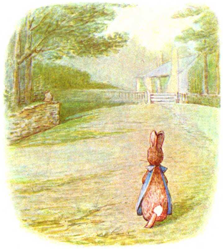 Flopsy stands on her own on a wide grassy path and stares at a white farmhouse at the end.