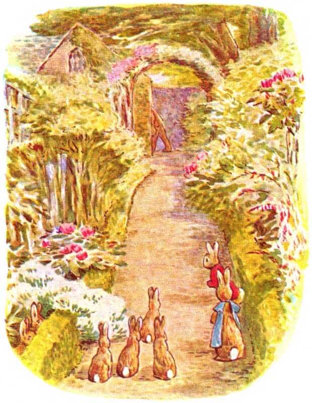 Benjamin and Flopsy stand on the path, watching Mr. McGregor turn the corner at the end. Next to them sit four of the Flopsy Bunnies, and two more peek out from behind the low box hedges which edge the path.