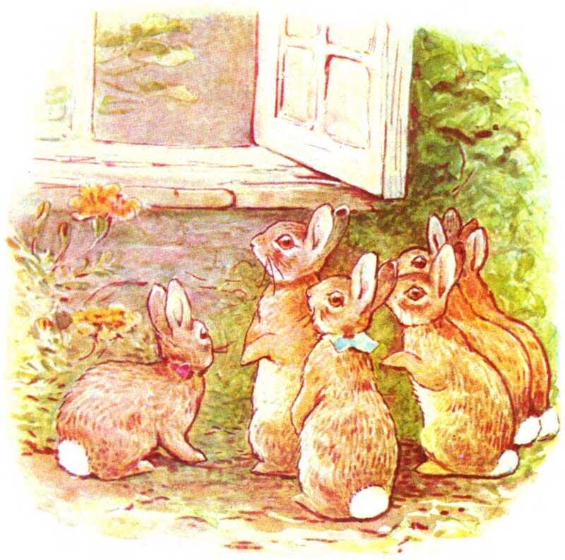 The Flopsy Bunnies stand up and listen in through the open window, which is surrounded by ivy growing up the walls.