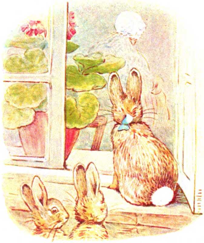 Several of the Flopsy Bunnies look in through the open window, past the geranium, to the figure of Mrs. McGregor in the room.