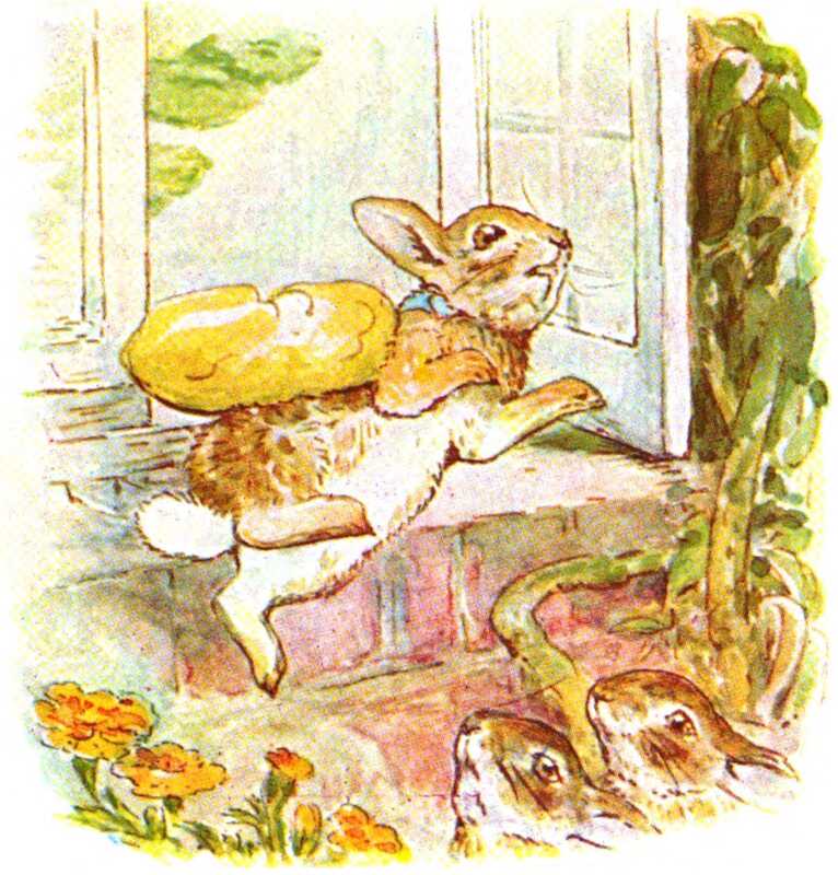 The youngest Flopsy Bunny, who is wearing a blue ribbon around their neck, is knocked from the brick windowsill by a flying vegetable, to the surprise of their two siblings below.