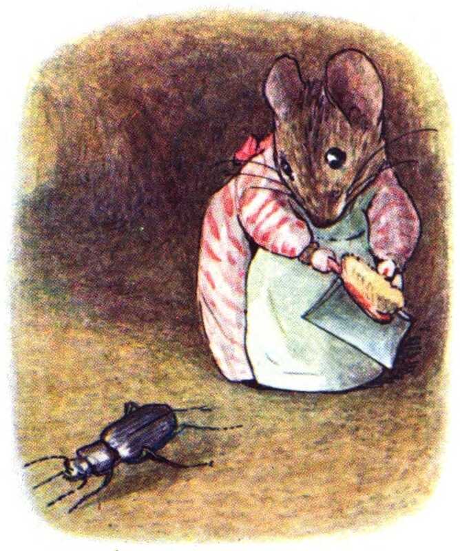 A black beetle scurries aware from Mrs. Tittlemouse, who is holding her dustpan and brush.