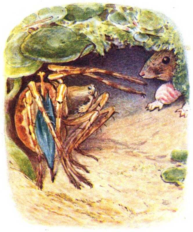 Mrs. Tittlemouse peers out of the end of her burrow at a brown spider with long legs and a blue umbrella.