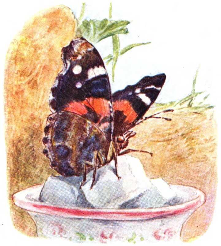 A red admiral butterfly sits on a bowl of sugar cubes. The bowl white with a pink rim, and is decorated with a floral pattern.