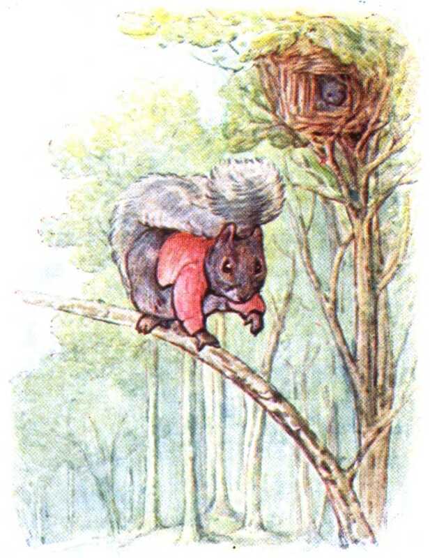 The squirrel in the red coat climbs down a branch on all fours, with his fluffy tail held over his back. The other squirrel looks on from inside a nest on the top of the neighbouring tree.