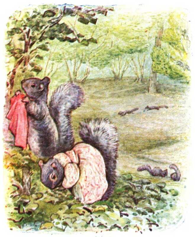 Timmy takes off his jacket and moves to hang it on a tree, while Goody looks at the ground, which is covered with low plants. In the clearing behind them several more grey squirrels can be seen.