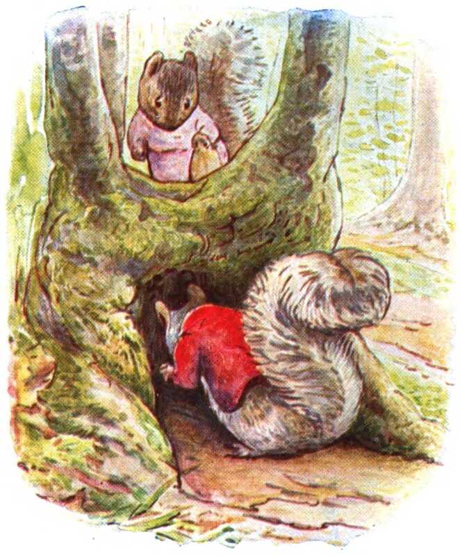 Timmy investigates a hollow at the base of a tree, while Goody looks on from the crook of the branches above him.