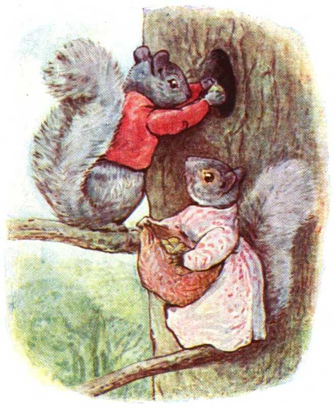 Timmy stands on a thin branch and carefully places a nut in a hole in a tree. On the branch below Goody is ready to pass him another nut from her bag.