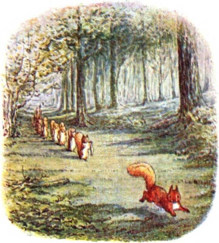 Nutkin runs on ahead of a line of other red squirrels, all on a grassy path running through a forest.