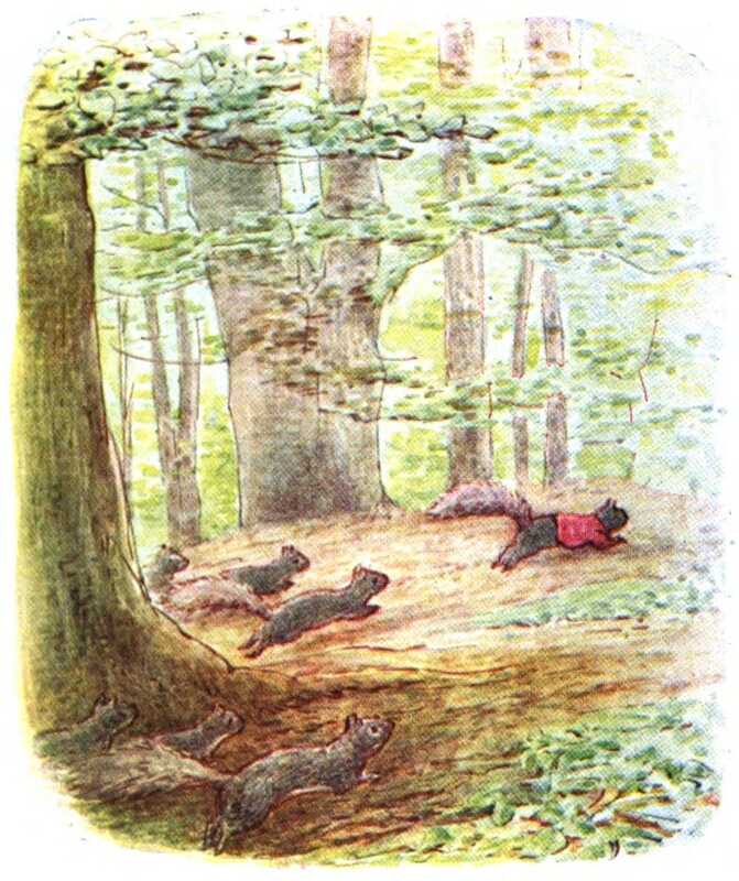 Six squirrels chase Timmy across the floor of a forest of large leafy trees.