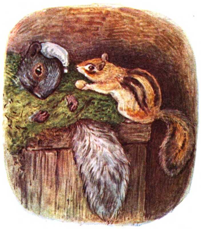 Timmy lies in the moss bed wearing the white nightcap, wile the Chipmunk offers him a nut.