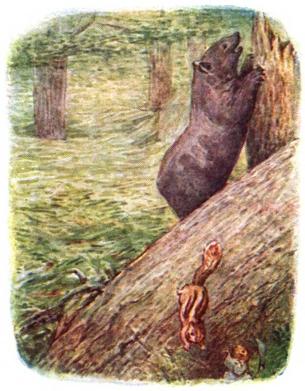 The bear stands on its hind legs and peeks into the hole in the tree. The Chipmunks run down the broken tree trunk and away from the bear.