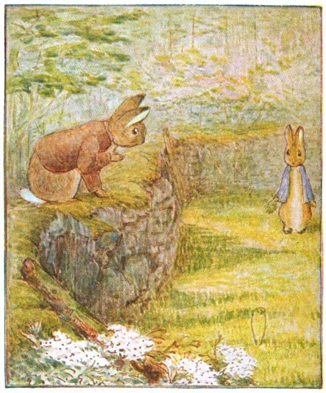Benjamin Bunny gestures to Peter Rabbit from the mossy top of a low stone wall, between the field and the woods. The mole trap is fastened into the ground between them.