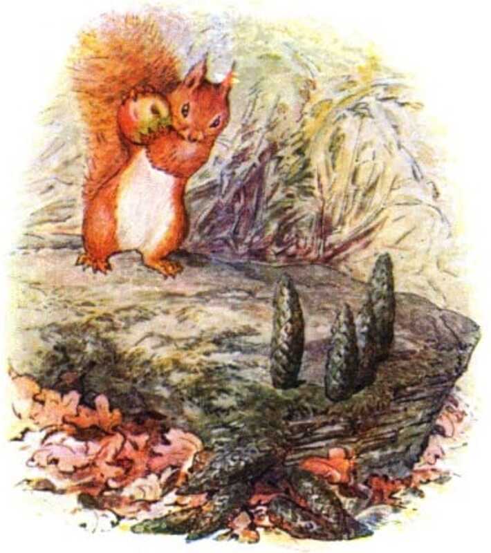 Nutkin stands on a rock and bowls an apple towards some fir-cones that he’s arranged.