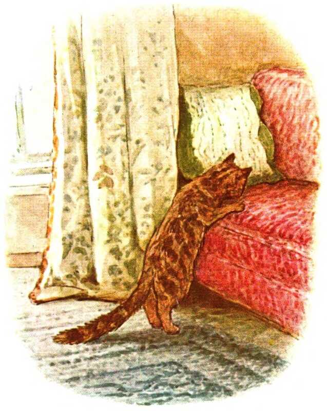 The cat stands on its hind legs and checks behind a yellow cushion on a red sofa. The room is decorated with a blue rug and a pale curtain with a flower pattern and red trim.