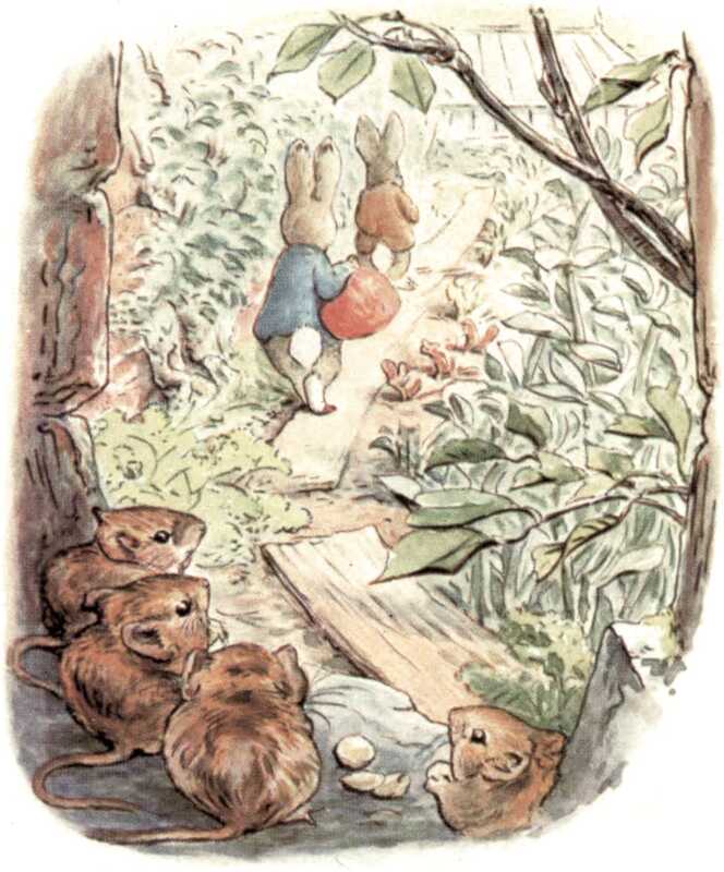 Benjamin and Peter walk off down the boards through the vegetable garden, overlooked by four small dormice.
