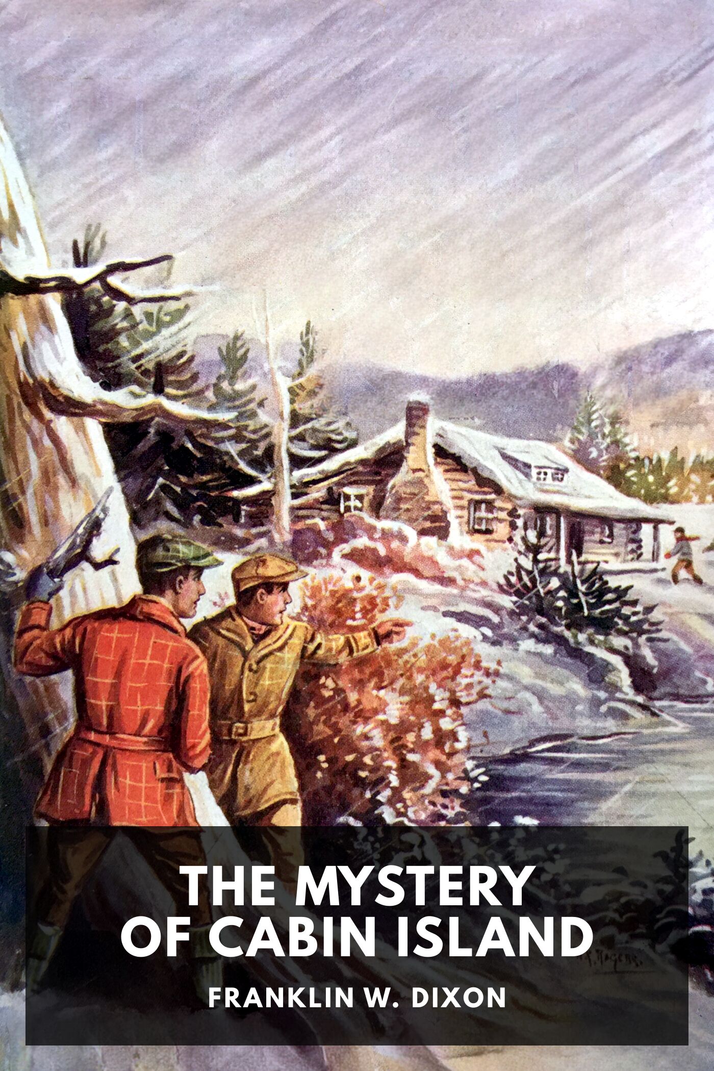 Illustrated cover for The Mystery of Cabin Island by Franklin W. Dixon