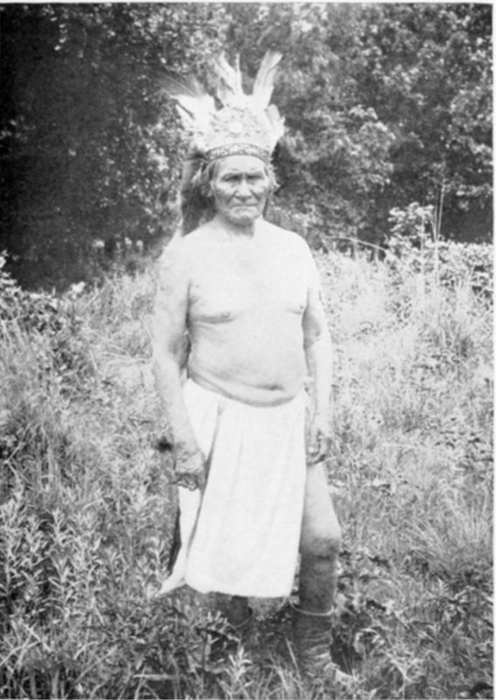 Geronimo stands in a field dressed in a loincloth and feathered headdress.